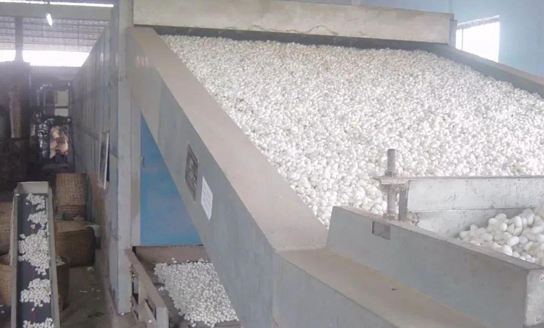 潔匠凈化·的凈工業除臭劑_繅絲廠“蠶繭烘干惡臭味”，Dejing的凈?除臭創造清新廠房！