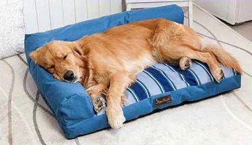 家居除味怎樣才省心?教你找到“異味盲區(qū)”!.jpg 家居除味怎樣才省心?教你找到“異味盲區(qū)”!.jpg