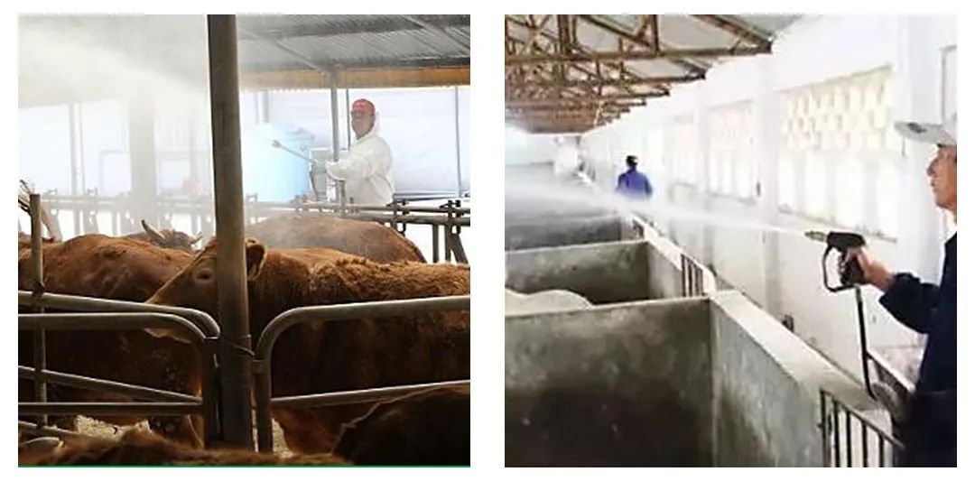 Dejing的凈養殖場除臭劑如何迅速清理養殖場臭味?.jpg Dejing的凈養殖場除臭劑如何迅速清理養殖場臭味?.jpg