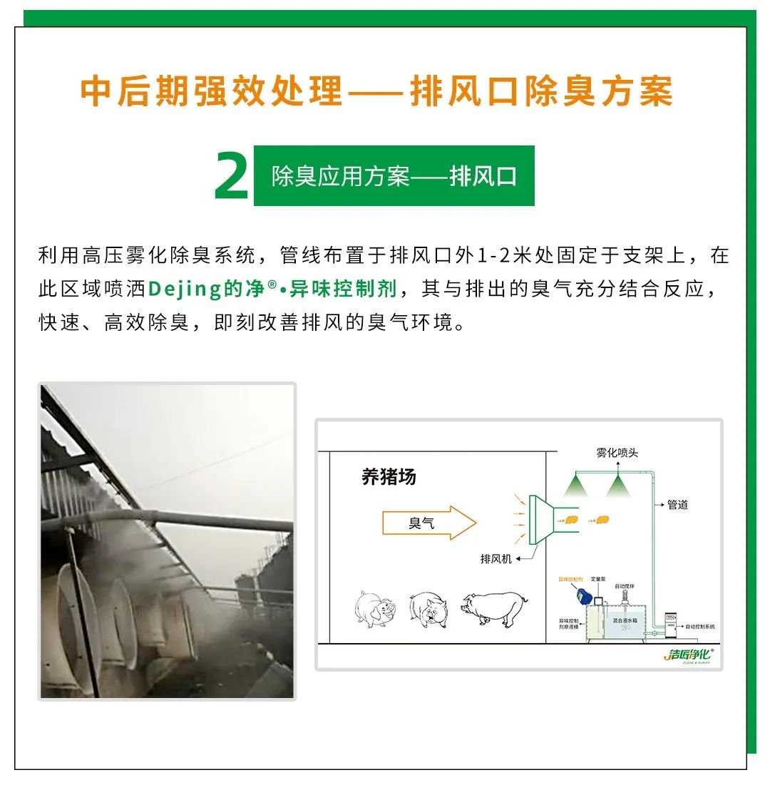 Dejing的凈養殖場除臭劑如何迅速清理養殖場臭味?.jpg Dejing的凈養殖場除臭劑如何迅速清理養殖場臭味?.jpg