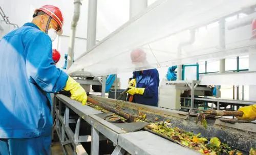 餐廚垃圾的不當(dāng)處理已成為致霾致癌的一個(gè)重要成因.jpg 餐廚垃圾的不當(dāng)處理已成為致霾致癌的一個(gè)重要成因.jpg